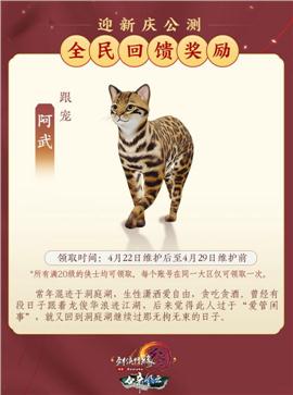 天龙八部私服技能介绍